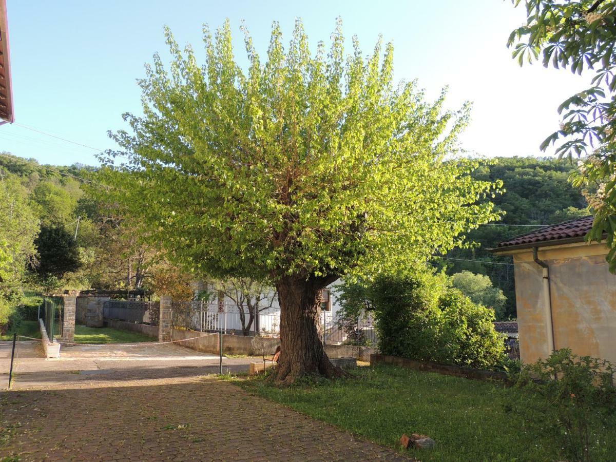 La Casa Di Nonna Bruna Muggia Exterior foto